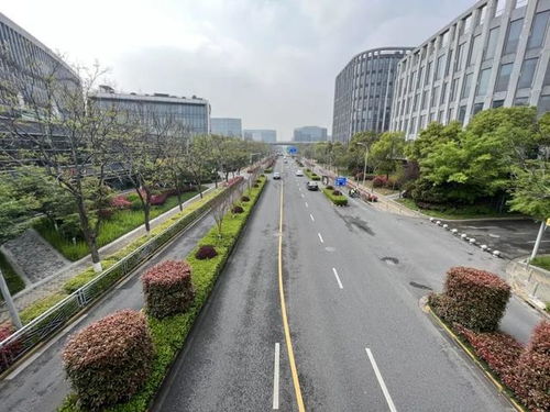 閔行區(qū)新增8條精品道路，累計創(chuàng)建33條，道路設施全面升級