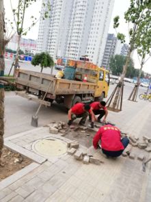 市政工程管理中心強化設施維修，全力保障道路暢通與設施完善